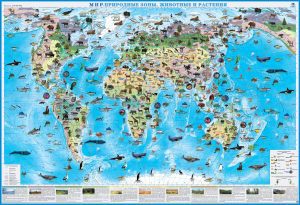 Карта Мир природные зоны, животные и растения