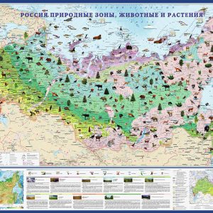 Карта Россия. Природные зоны. Животные и растения