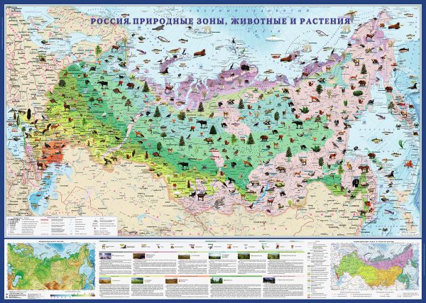 Карта Россия. Природные зоны. Животные и растения